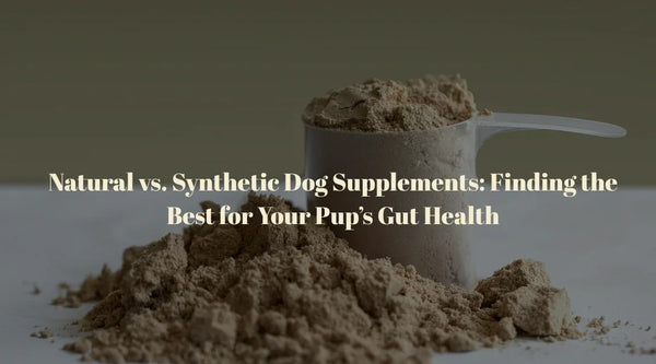 Natural vs. Synthetic Dog Supplements: Finding the Best for Your Pup’s Gut Health
