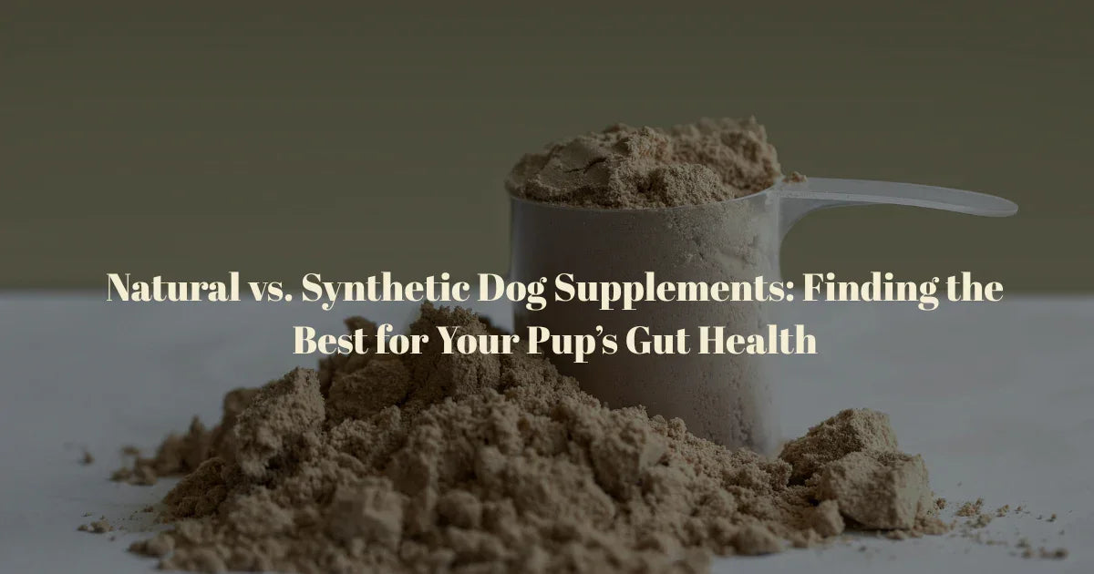 Natural vs. Synthetic Dog Supplements: Finding the Best for Your Pup’s Gut Health