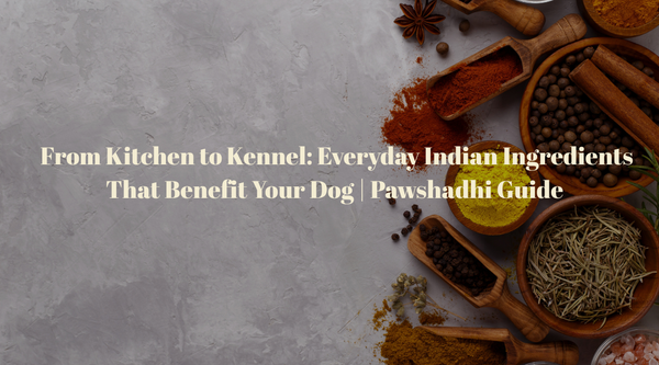 From Kitchen to Kennel: Everyday Indian Ingredients That Benefit Your Dog