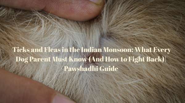 Ticks and Fleas in the Indian Monsoon: What Every Dog Parent Must Know (And How to Fight Back)