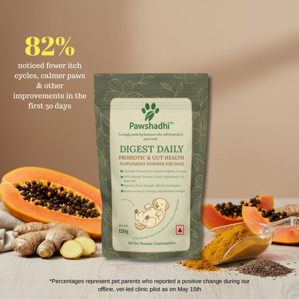 Digest Daily-60g Starter Pack