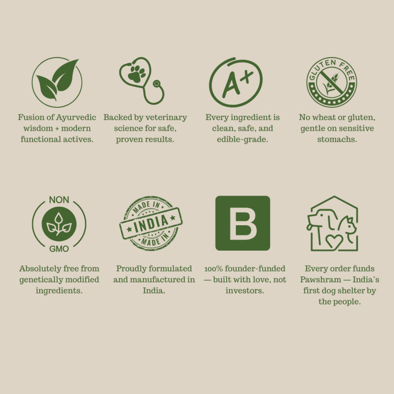 DIGEST DAILY- Probiotic & Gut Health Supplement Powder For Dogs