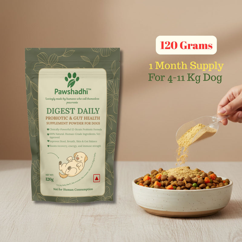 DIGEST DAILY- Probiotic & Gut Health Supplement Powder For Dogs