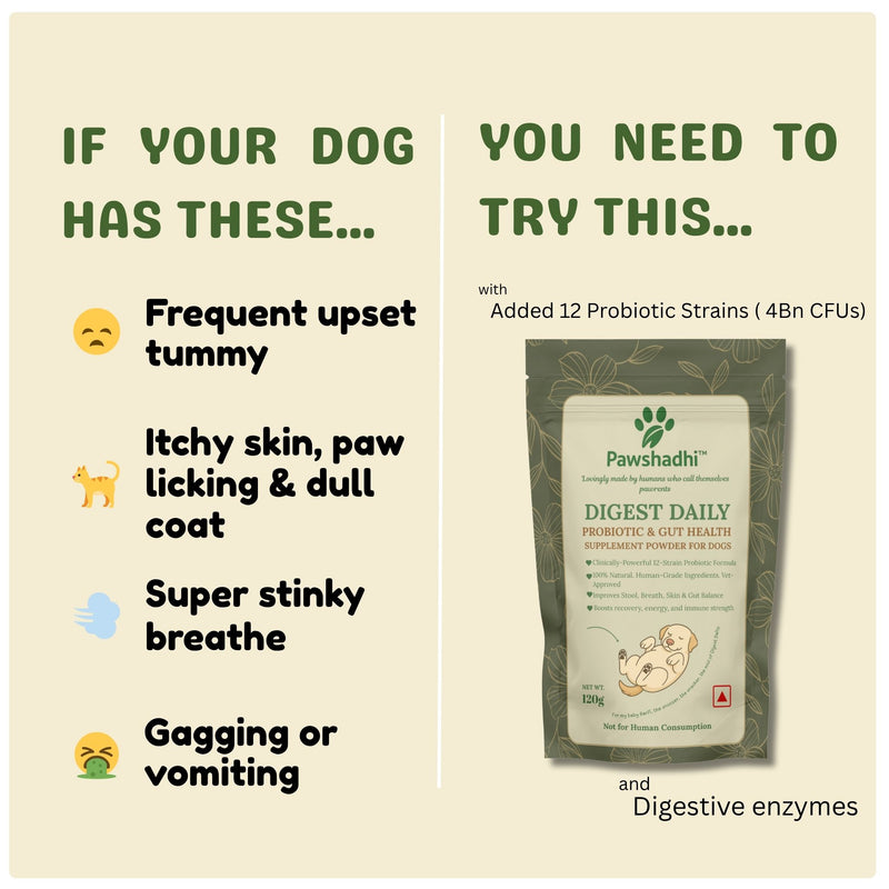 DIGEST DAILY- Probiotic & Gut Health Supplement Powder For Dogs
