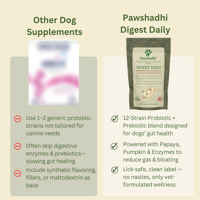 DIGEST DAILY- Probiotic & Gut Health Supplement Powder For Dogs