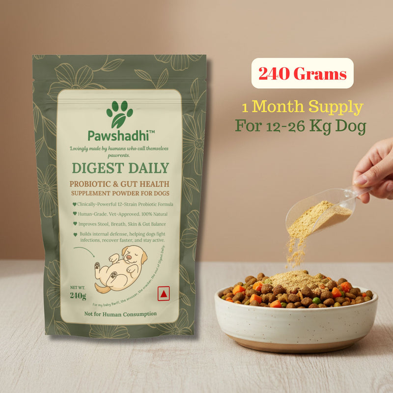 DIGEST DAILY- Probiotic & Gut Health Supplement Powder For Dogs