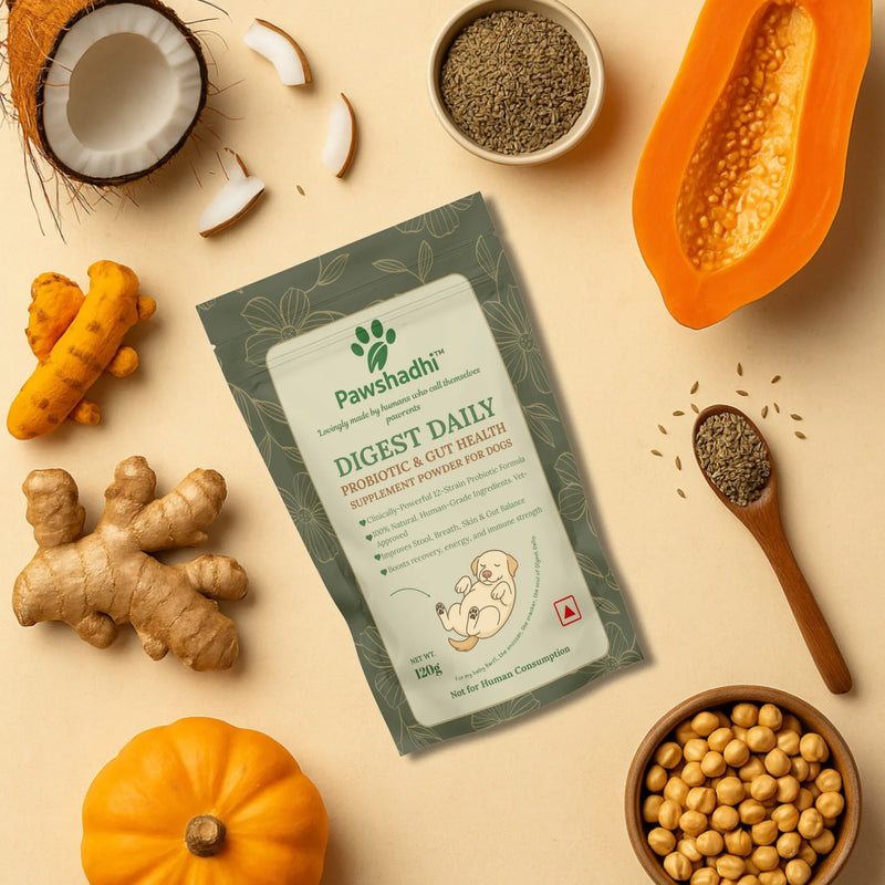 Pawshadi Digest Daily supplement package surrounded by health ingredients on a beige background
