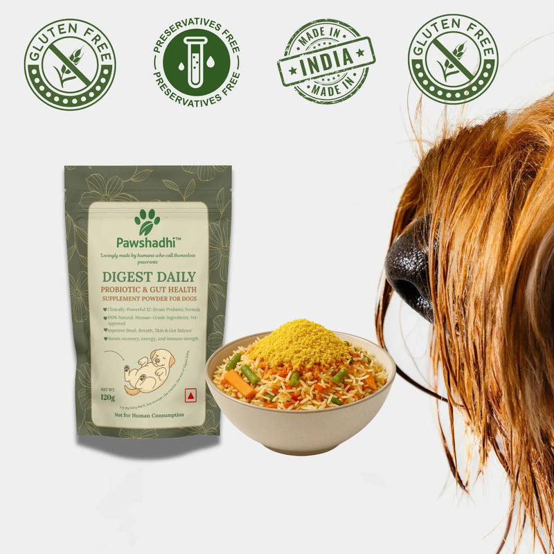 Pawshadhi digestive daily supplement for dogs with a bowl of food and a dog's nose.