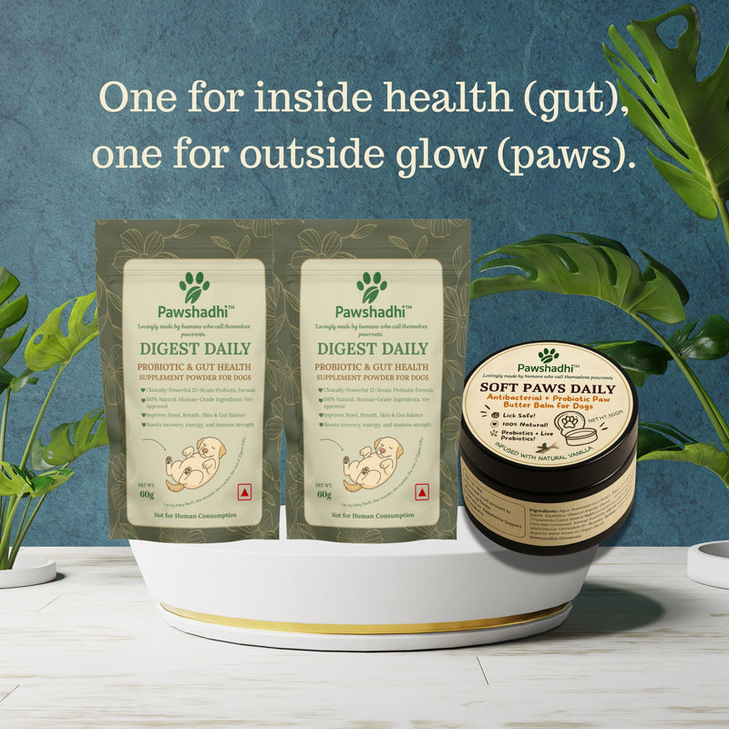 Gut & Glow Combo